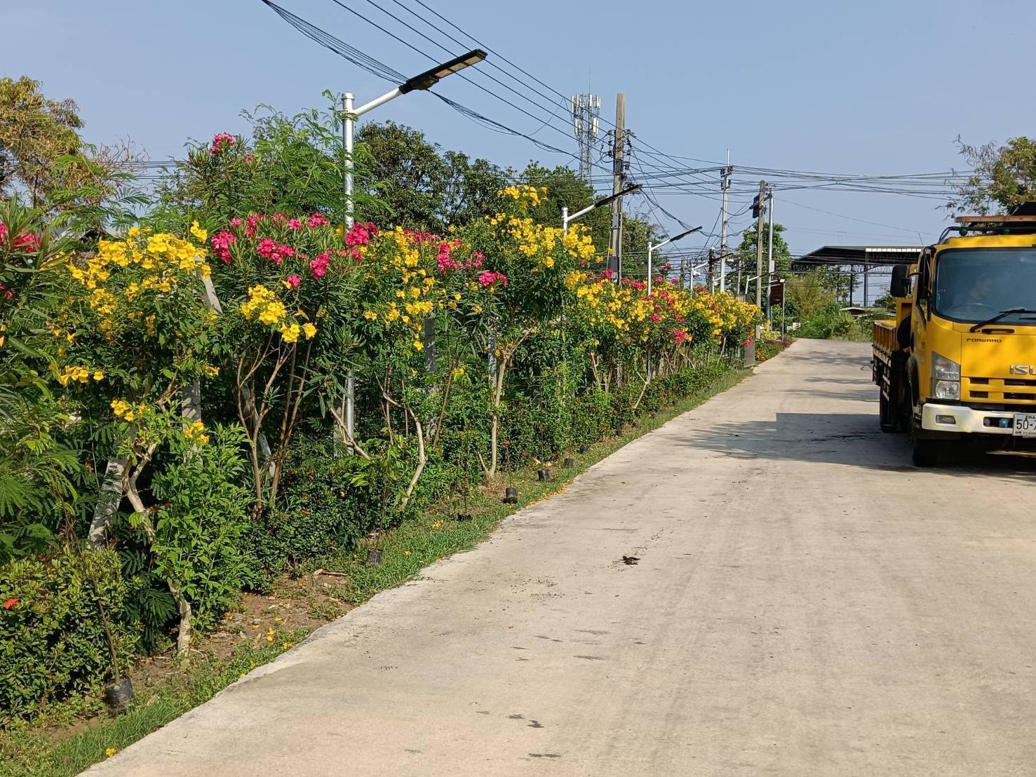 ศูนย์การเรียนรู้ตามศาสตร์พระราชา (สวนรักษาศุข)