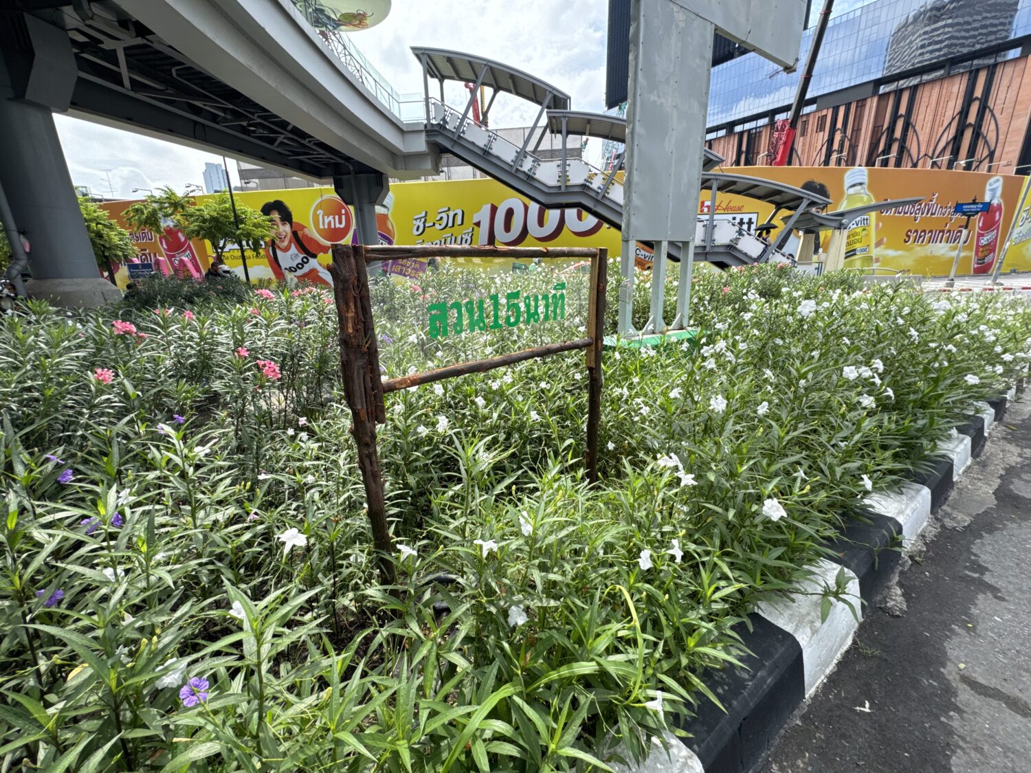 Pathumwan Pocket Park