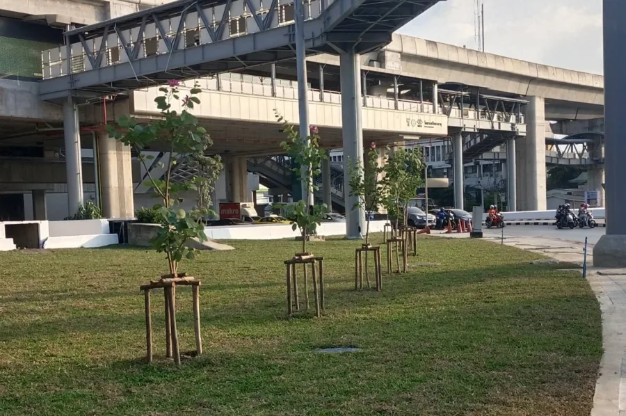 สวนหย่อมวงเวียนบางเขน