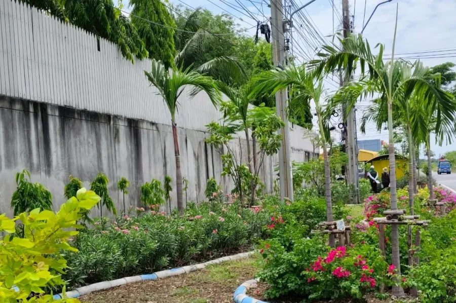 สวน 15 นาที @ เทียนทะเล 32