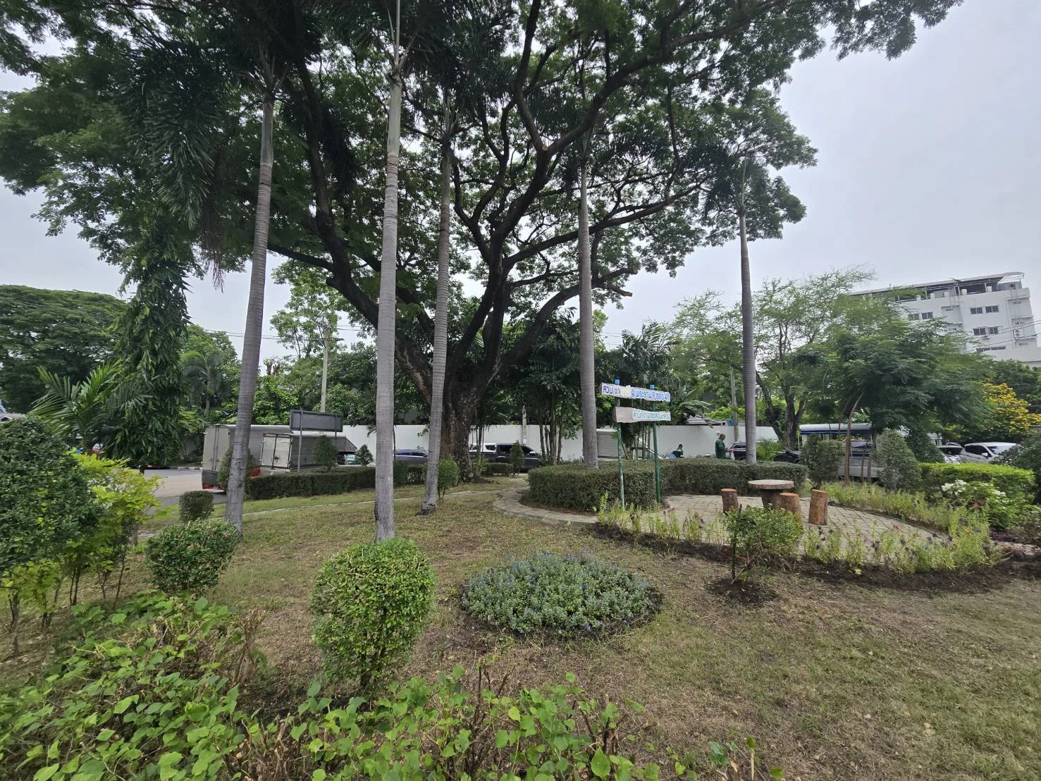 สวน 15 นาที @พระราม9 (ซอย 49)