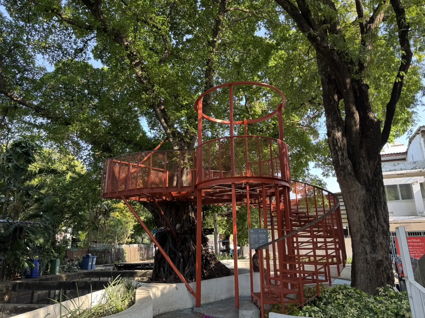 สวน 15 นาที บ้านต้นไม้ 95