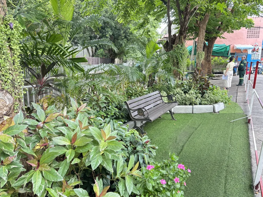 สวน 15 นาที วัดมะกอก