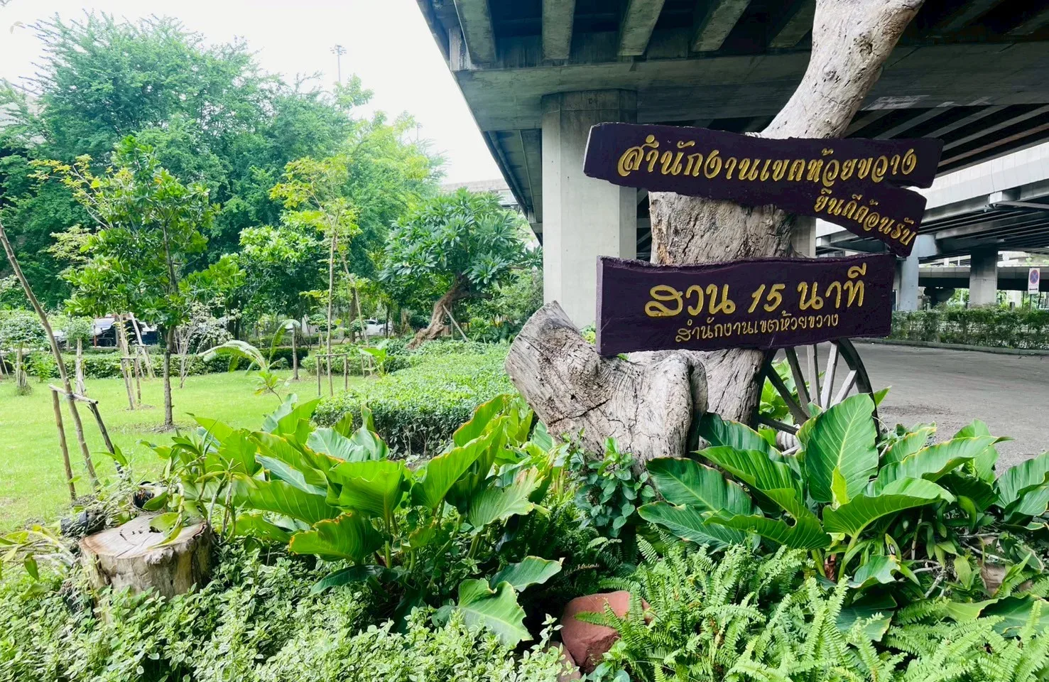 สวน 15 นาที สวนป่าพระรามเก้า