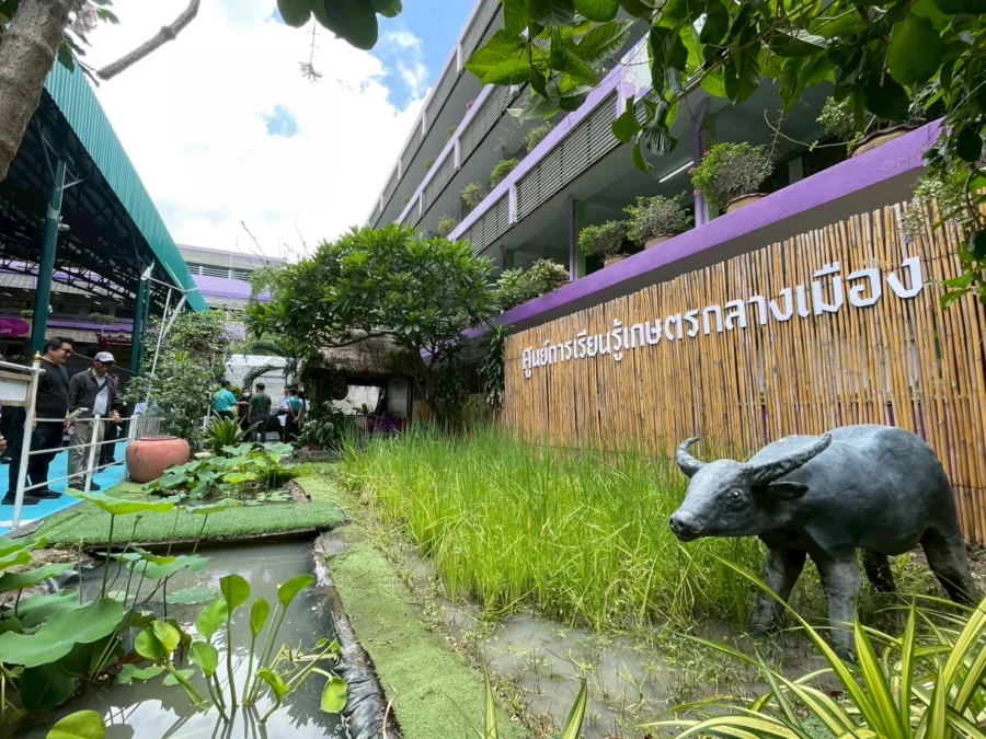 สวน 15 นาที โรงเรียนวิชูทิศ