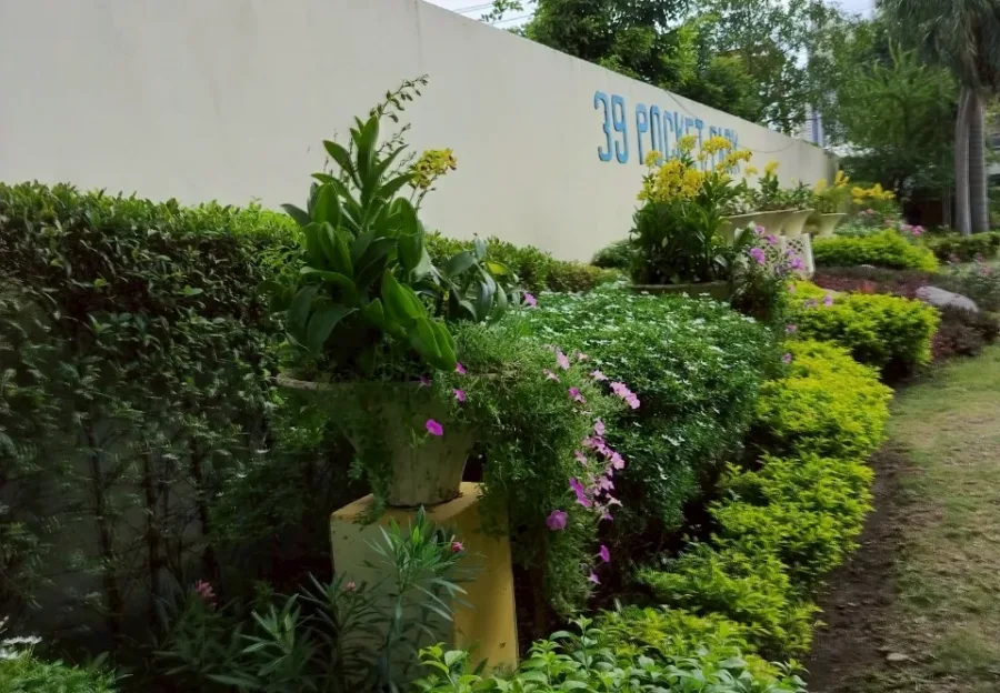 สวน 39 Pocket Park ปลายซอยสุขุมวิท 39