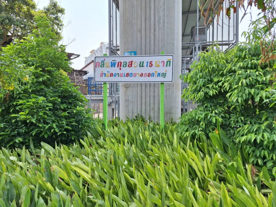 สวนกลิ่นพิกุล  สวน 15 นาที