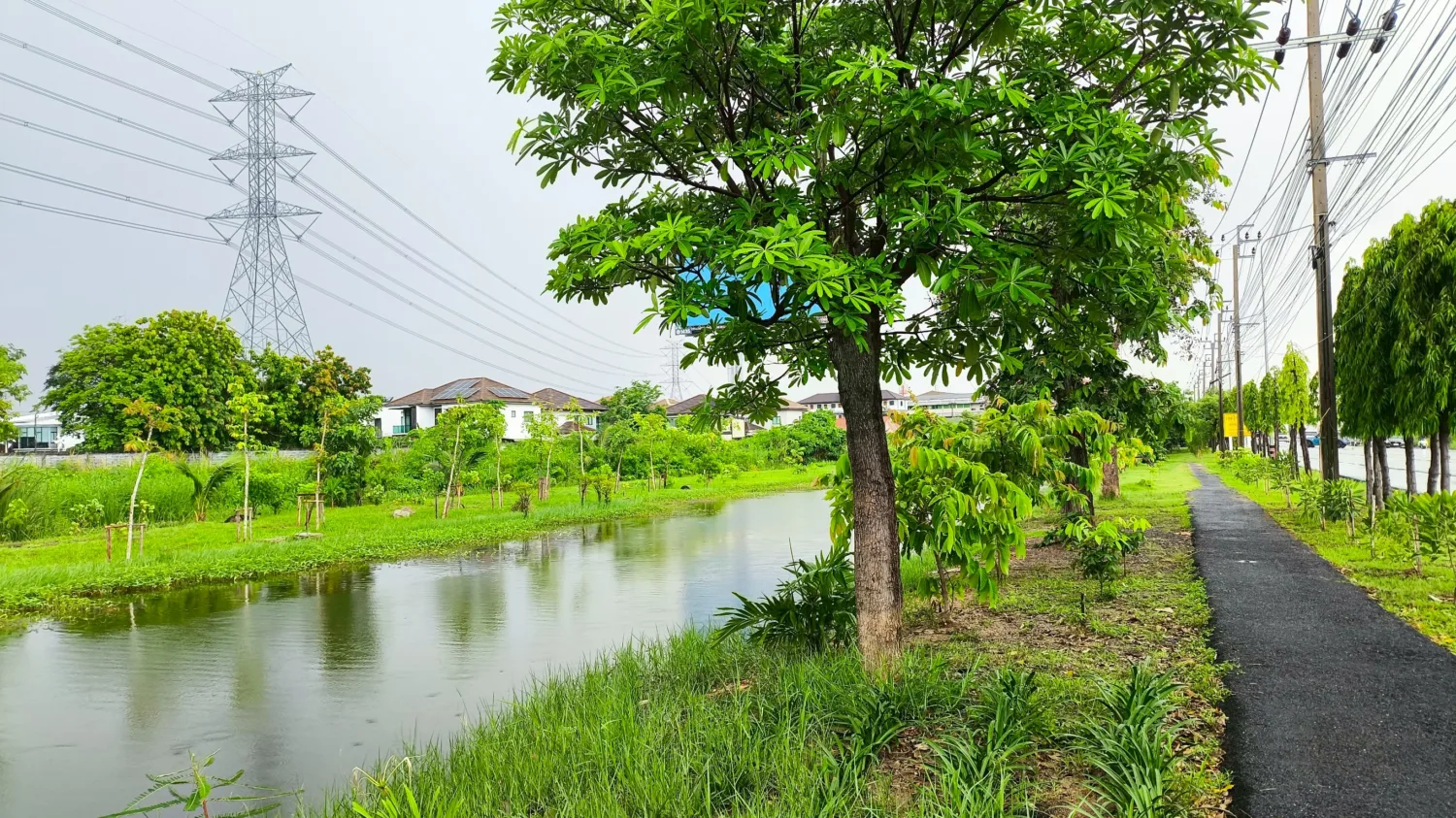 สวนคลองปักหลัก