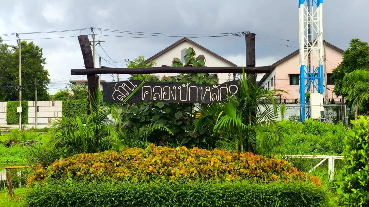 สวนคลองปักหลัก 2