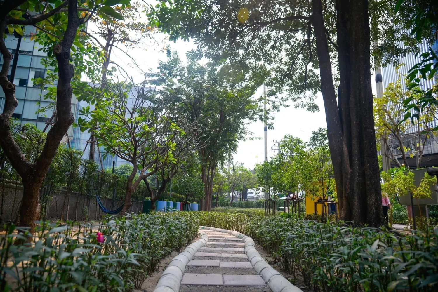 สวนคลองเตย พัก & Play