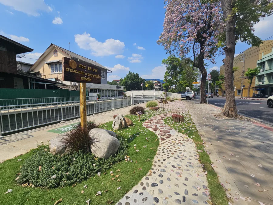 สวนบางมะกอก @ พระราม 5