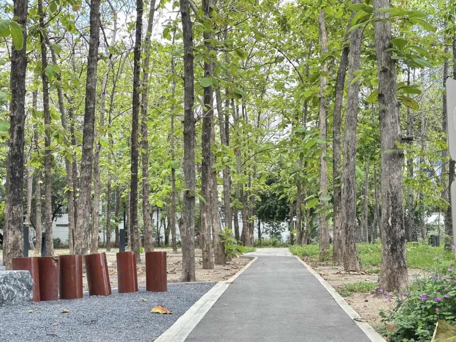 สวนป่าสัก ซ.วิภาวดี 5