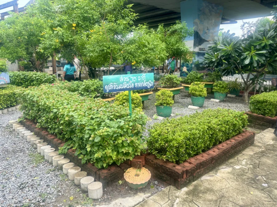 สวนยูเทิร์นเพลินใจ ริมคลองบางขุนศรี