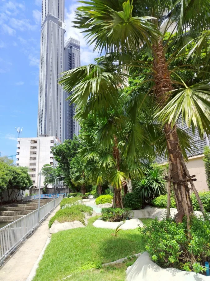 สวนริมคลองเป้ง