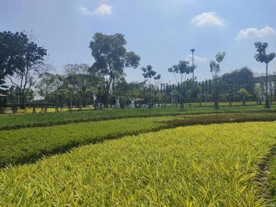 สวนร่มเกล้าชาวทาง