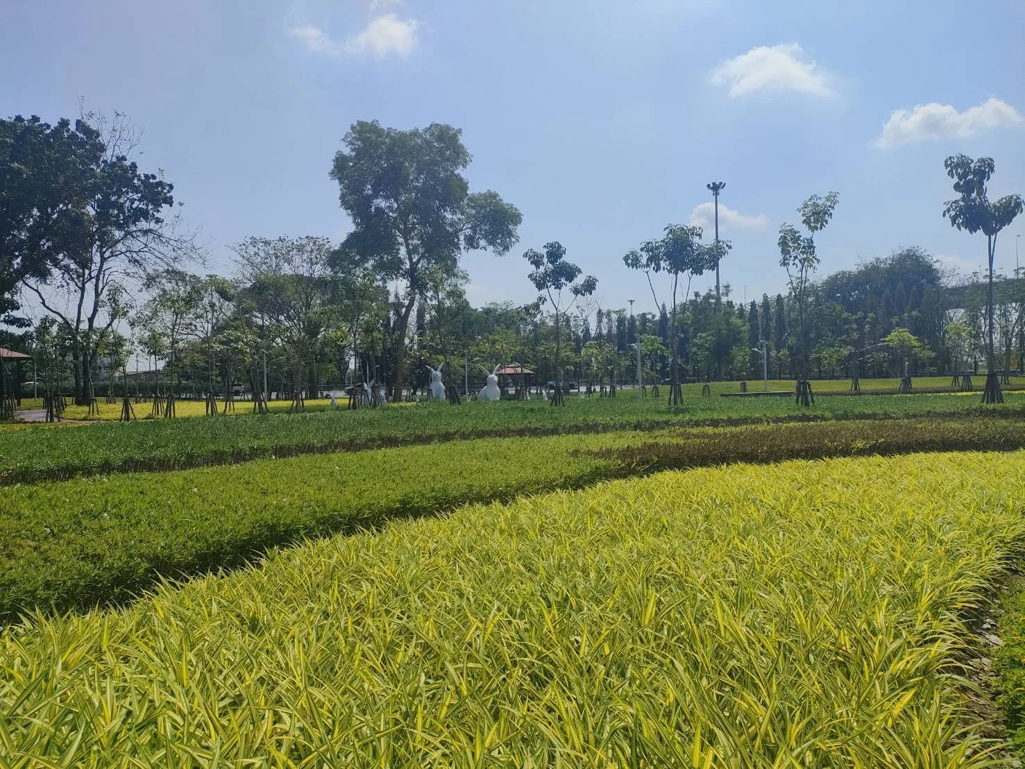 สวนร่มเกล้าชาวทาง