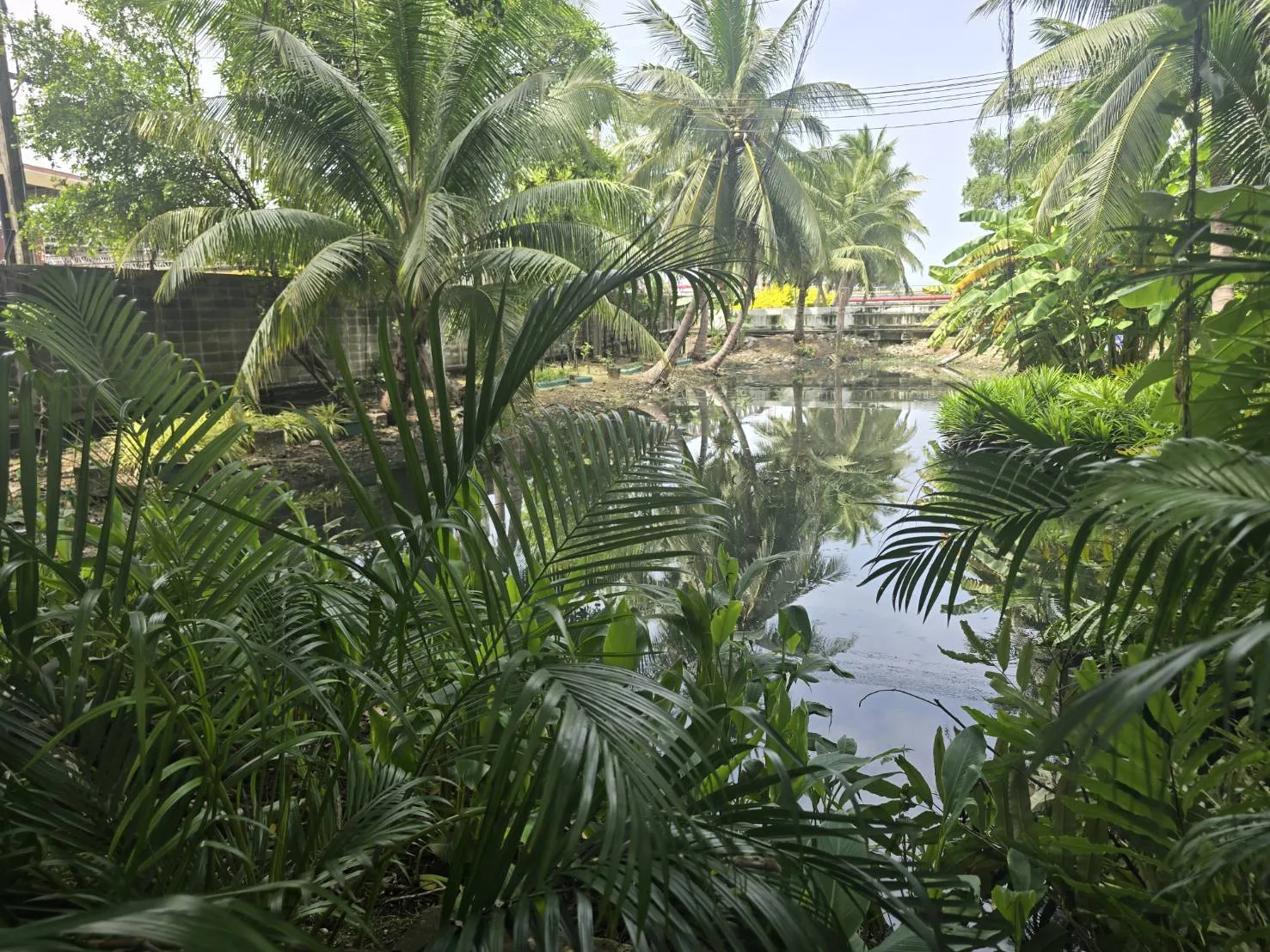 สวนวัดคลองเตยใน