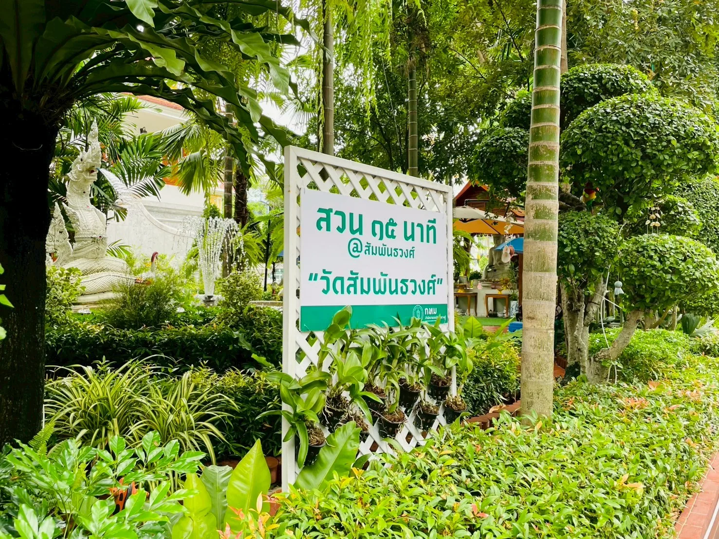 สวนวัดสัมพันธวงศ์