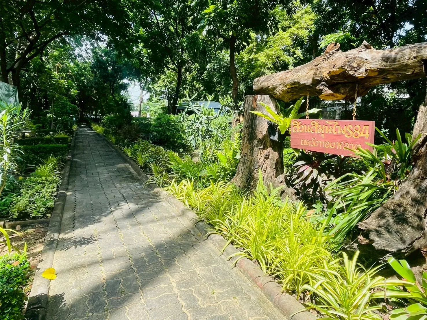 สวนสมุนไพรลาดพร้าว 84