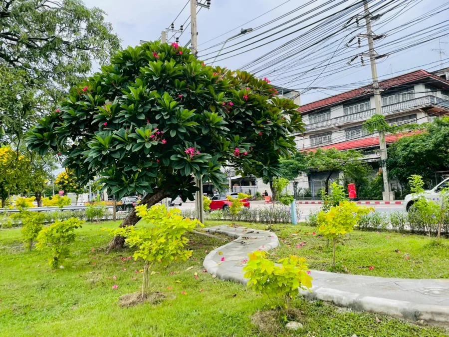 สวนหย่อมประชาอุทิศ