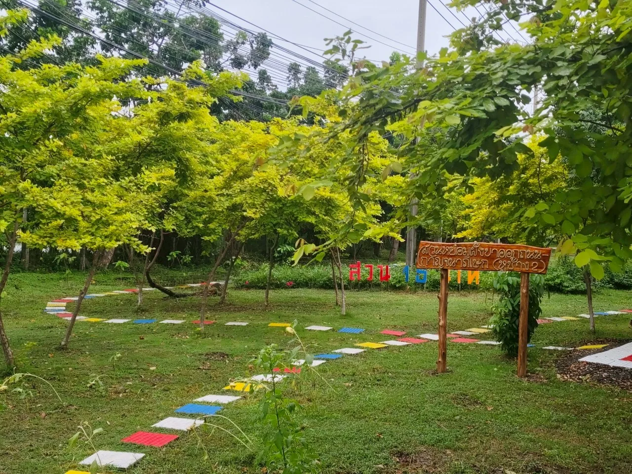 สวนหย่อมฝั่งขาออกถนนกาญจนาภิเษก (หูช้าง2)