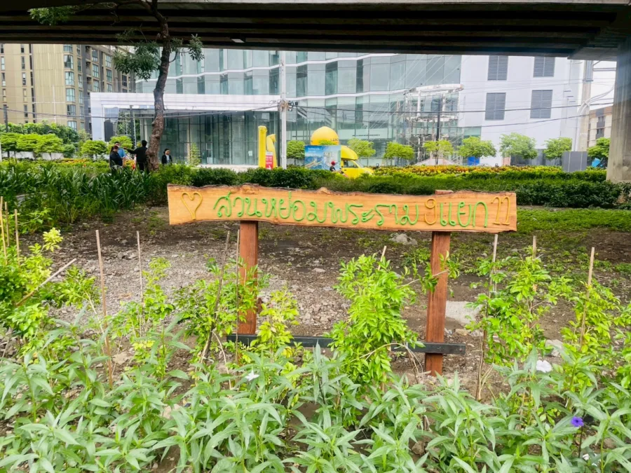 สวนหย่อมพระราม9แยก11