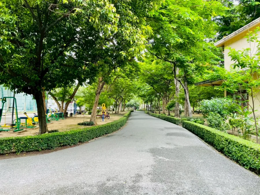 สวนอารีย์สัมพันธ์