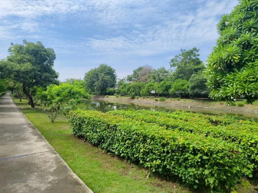 สวนในบึง 15 นาที “บึงรางเข้”