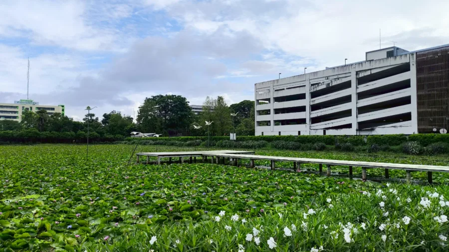 อุทยานบัวบึงกุ่ม