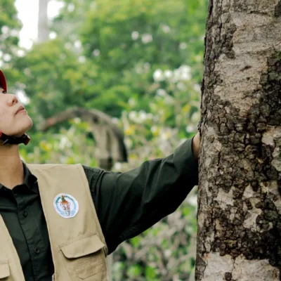 กทม. มีรุกขกรมืออาชีพเพิ่มขึ้นอีก 33 คนแล้วนะ alt=