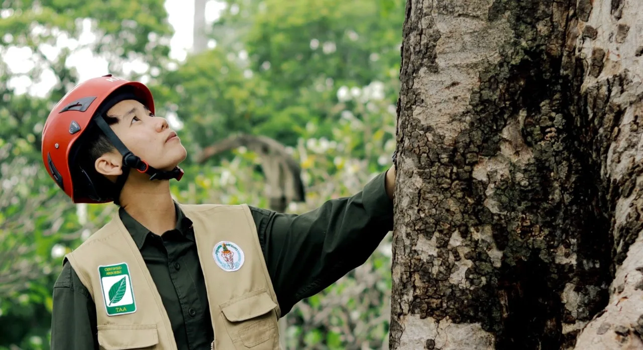 กทม. มีรุกขกรมืออาชีพเพิ่มขึ้นอีก 33 คนแล้วนะ